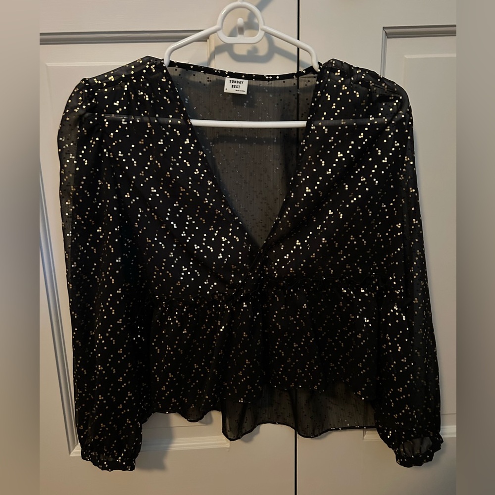Aritzia Sunday Best Sheer Shimmer Blouse